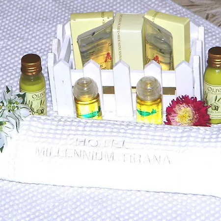 Millenium Отель 3*